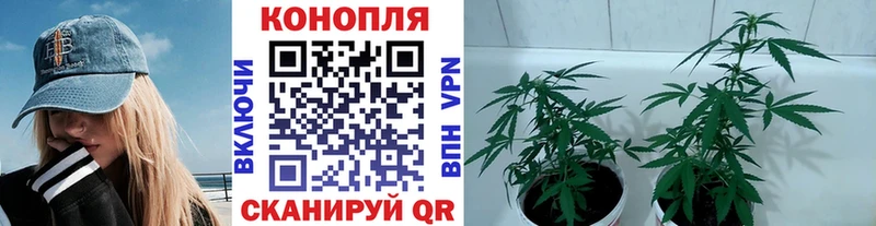 Где найти наркотики Кореновск Бошки Шишки СК КОКАИН Гашиш МЕФ