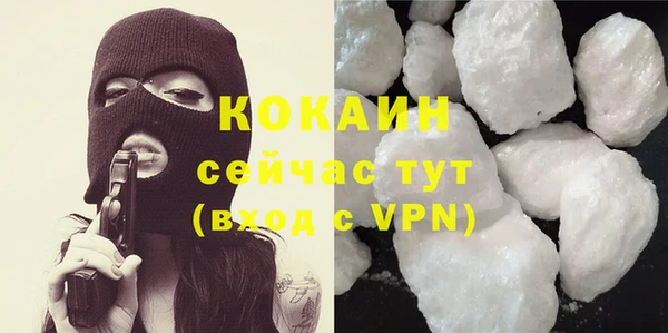 прущие грибы Кинешма