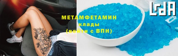 прущие грибы Киренск