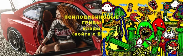 ALPHA PVP Костерёво