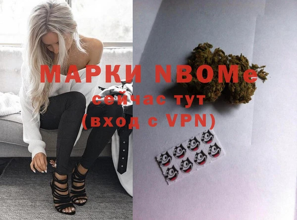 прущие грибы Киренск