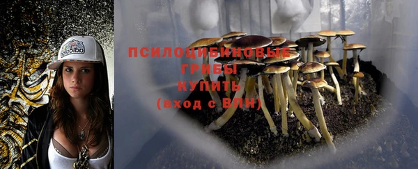 прущие грибы Киренск
