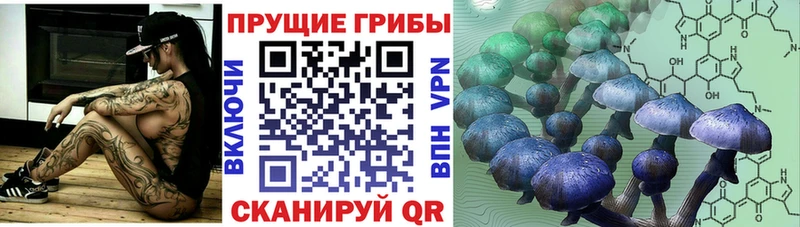 omg маркетплейс  Кореновск  Псилоцибиновые грибы мицелий 