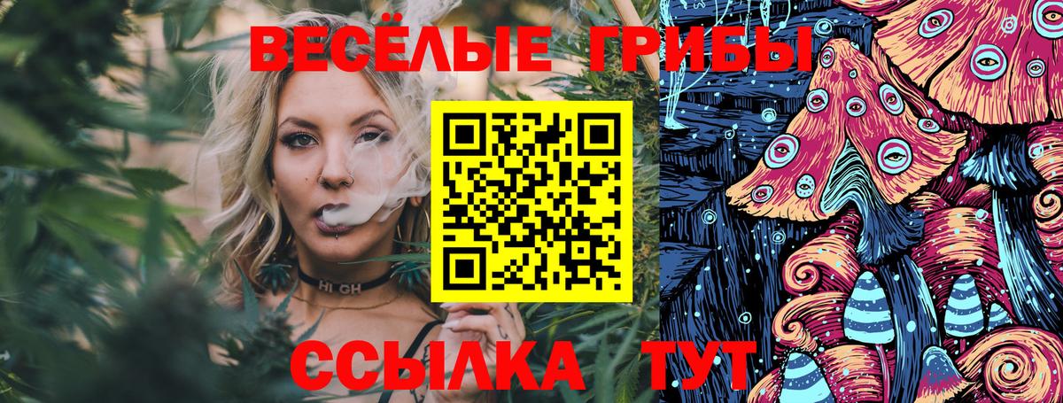 Псилоцибиновые грибы MAGIC MUSHROOMS  где купить наркоту  Кореновск 