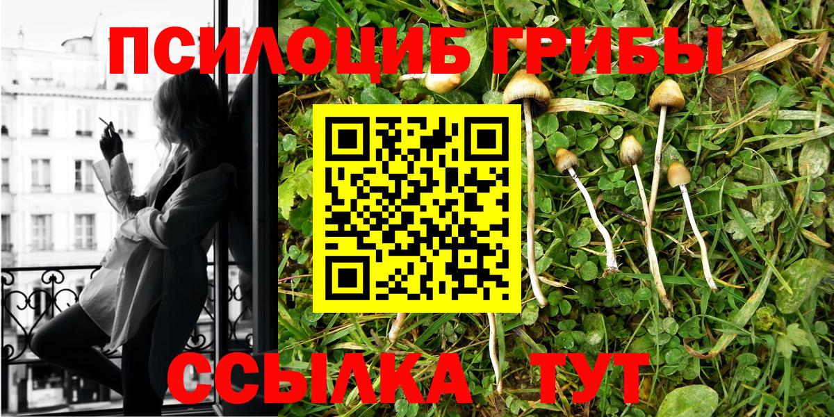 Псилоцибиновые грибы Psilocybine cubensis  Вход с VPN  Кореновск 