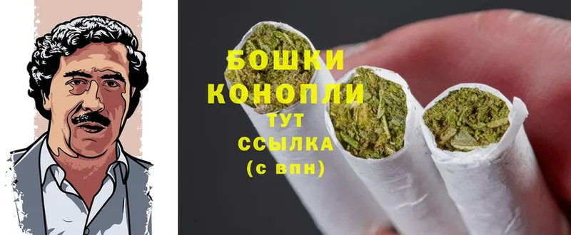 Каннабис SATIVA & INDICA  Кореновск 